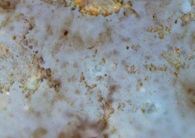 Landscape of Light/ Darkness